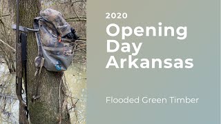 2020 Arkansas Opening Day Flooded Timber Duck Hunt [upl. by Cheyne650]