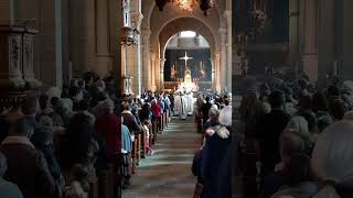 Messe de la Toussaint  cathédrale du Puy en Velay [upl. by Olcott60]