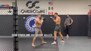 Sean Strickland sparring Johnny Walker [upl. by Annavas]