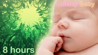 ✰ 8 HOURS ✰ Baby Sleep Music ♫ Relaxing Music for Babies to go to Sleep ♫ FOREST SOUNDS ♫ [upl. by Oab]