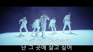 빅스VIXX「Fantasy」응원법応援法掛け声！ [upl. by Aaren]