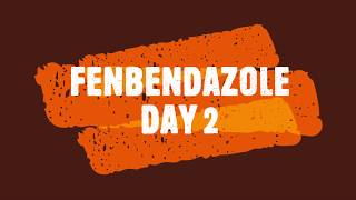 Fenbendazole Day 2 of Week 1 an experiment by a noncancer person [upl. by Ahtinak813]