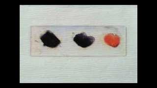 How to Do a Gram Stain Differentiate Grampositive and Gramnegative Bacteria [upl. by Imerej]