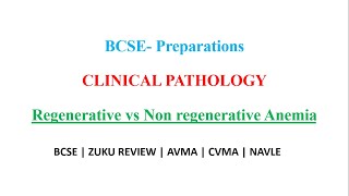 Regenerative vs Nonregenerative anemia  BCSE preparation  Hematology  Clinical Pathology [upl. by Nahgaem555]