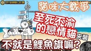 《哲平》手機遊戲 貓咪大戰爭  開眼至死不渝的戀情貓來襲  關卡全記錄  我說這名字也太長了吧WW [upl. by Ecnatsnok826]