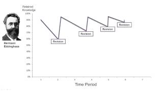 Ebbinghaus Effect Chart [upl. by Tezil]