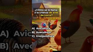 Test de Cultura General Zoología 2 ¿Cuántas de Estas Preguntas Puedes Responder [upl. by Ahsiyn]