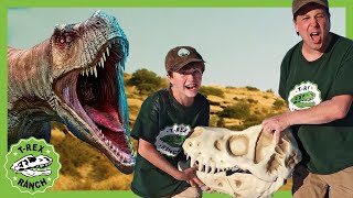 Dinosaur Adventure in the Desert  TRex Ranch 40 MINS of Kids Videos [upl. by Haniraz]