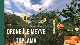 Tarımsal Drone  Meyve Toplar Mı [upl. by Artcele]