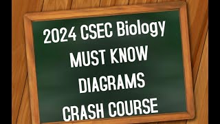 2024 CSEC Biology MUST KNOW DIAGRAMS CRASH COURSE [upl. by Rici]