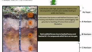 Podzol Earth Formation [upl. by Pamela913]