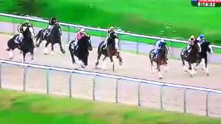 Shire Horse race at Lingfield [upl. by Bohon938]