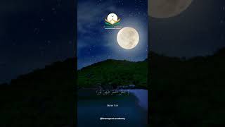 Surah Nooh Juz 29 Quran 711516 Sheikh Raad AlKurdi quranrecitation qurantilawat quotes [upl. by Ally333]