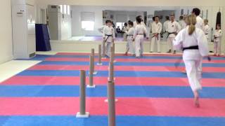 Mawashi Geri Training Drill  Shotokan Karate in Winnipeg  Charleswood Karate 2012 [upl. by Placia586]