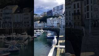 Luarca Asturias Астурия астурия севериспании чайка море кантабрия галисия luarca asturias [upl. by Nyliram]