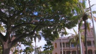 Explore The Islands Of Hawaii With Perillo Tours [upl. by Neelya]