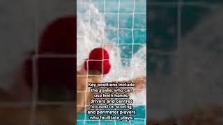 Water Polo Explained [upl. by Gyatt254]