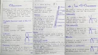 Chromosomes Structure of Chromosomes Types of Chromosomes in hindi [upl. by Oilerua737]