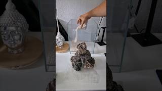 Adding Reef Sand to my new nano reef tank aquarium reef aquascape reeftank coral [upl. by Bensen]