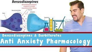 Anti Anxiety Pharmacology Benzodiazepines and Barbiturates [upl. by Sokcin]