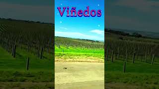 mexicanfiesta Country Music Dance 💃 Australia Iconic Places shorts [upl. by Moser]