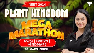 Plant Kingdom in One Shot  Mega Marathon  NEET 2024  Dr Gargi Singh [upl. by Waldo]