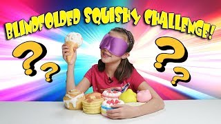 BLINDFOLDED SQUISHIES CHALLENGE My Squishy Collection [upl. by Iggie384]