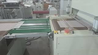 Sheet screen printing machine [upl. by Maxama]