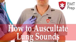 How to Auscultate Lung Sounds  EMTprepcom [upl. by Louls]