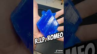 RIP Romeo my giant copper sulfate crystal gonebutneverforgotten science chemistry [upl. by Weidar]