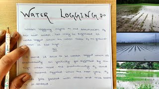 Irrigation Water logging  Causes of Water logging  Effects  Measures to prevent Water logging [upl. by Fanni]