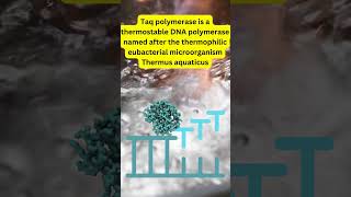 Polymerase Chain Reaction  PCR DNAAmplification TaqPolymerase GeneResearch MedicalDiagnostics [upl. by Anawk]