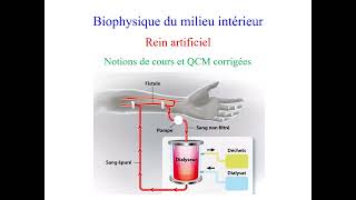 Rein artificiel notions de cours et exercices corrigés [upl. by Elvina]