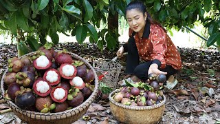 quot Mangosteen fruit quot Harvest mangosteen from grandmother backyard for cooking  Country chefs [upl. by Gildea]