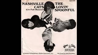 NASHVILLE CATS LOVIN SPOONFUL 2024 MIX [upl. by Hooke]