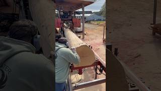 White Oak Cut Into 2x9’s  Cooks AC36 sawmill [upl. by Ailin655]