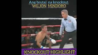 WILJON MINDORO VS LUCAS DE ABREUboxing fighthighlights [upl. by Ical]