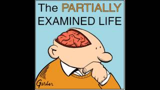 Partially Examined Life podcast  The Federalist Papers [upl. by Eberta]