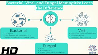 Decoding Meningitis Understanding Bacterial Viral and Fungal Varieties [upl. by Kisung]