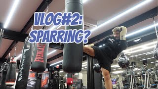 VLOG2  SPARRING [upl. by Ahsaela]