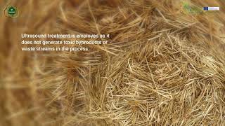 Project US4GreenChem lignocellulosic biomass [upl. by Aleydis842]