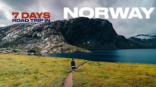 Road trip INCREDIBILE tra i Fiordi Norvegesi  weekly road trip vlog [upl. by Acinnej]