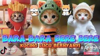 BARA BARA BERE BERE VERSI KUCING LUCU TERBARU [upl. by Aivalf]