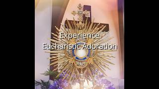 Assumption Parish Walkinstown Eucharistic Adoration [upl. by Annamarie]