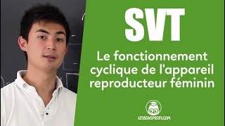 Le fonctionnement cyclique de lappareil reproducteur féminin  SVT  Collège  Les Bons Profs [upl. by Pronty]