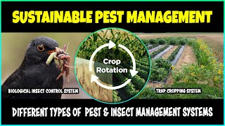 Sustainable Insect and Pest Management Practices  Integrated Pest Management System [upl. by Steffane]