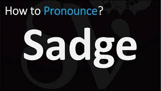 How to Pronounce Sadge CORRECTLY [upl. by Sparke]