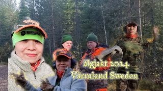 Älgjakt Varmland Sweden  moose hunting at Varmland Sweden Oktober 2024  Maribeth Flores [upl. by Palma]