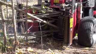 Harvesting poplar trees with diameter up to 25 cm  DEMO [upl. by Jesh806]