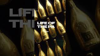 Life of the party cover [upl. by Analise]